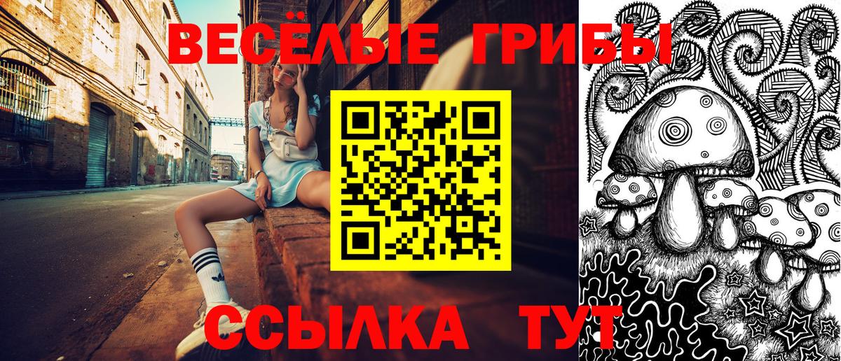 Псилоцибиновые грибы Psilocybine cubensis  Вход с VPN  Черняховск  купить наркотики цена  Галлюциногенные грибы GOLDEN TEACHER 