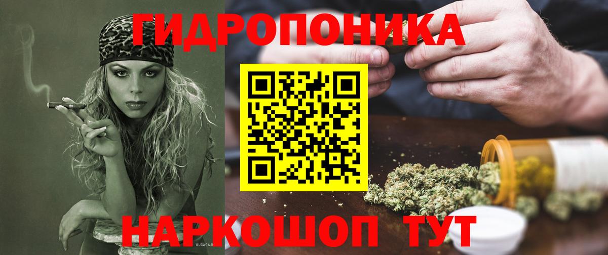 Черняховск  Шишки марихуана семена  Каннабис OG Kush  Вход с VPN 